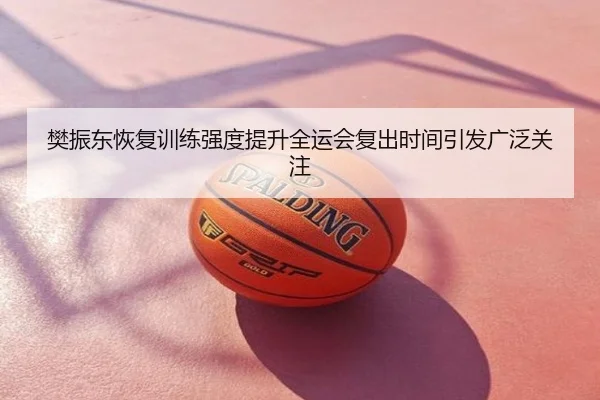 樊振东恢复训练强度提升全运会复出时间引发广泛关注